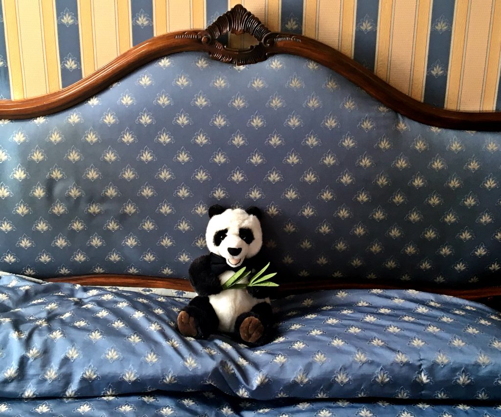 Panda si užíval v Benátkách. Svezl se na gondole a jedl jenom pizzu.