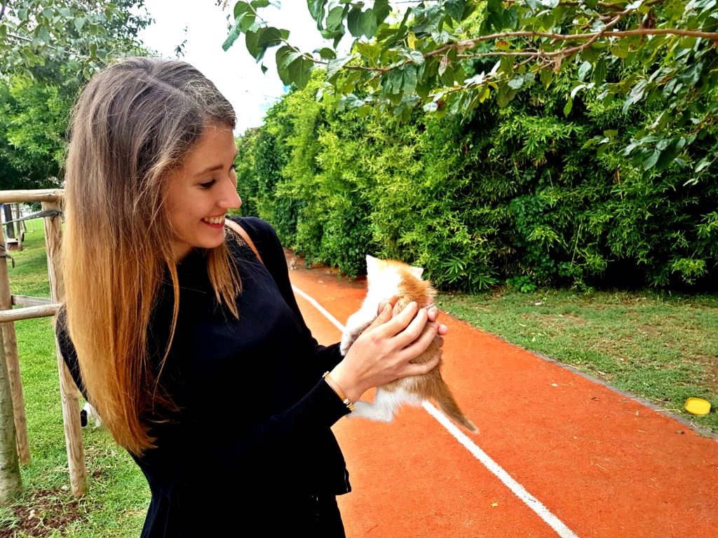 V Istanbulu byly všude byly kočky a jeden den jsme objevili spoustu koťátek :)